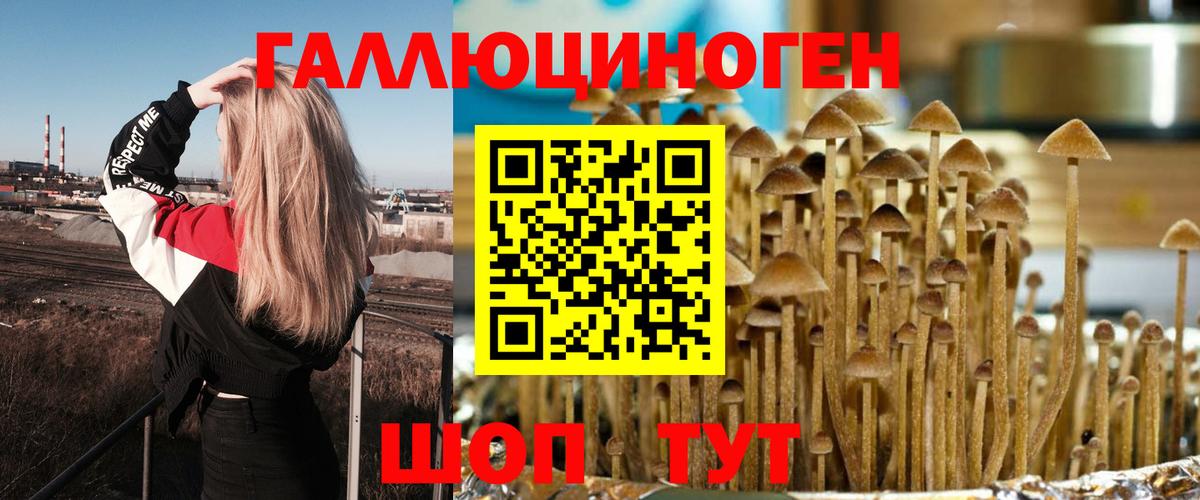 Йошкар-Ола  Галлюциногенные грибы Cubensis  Вход с VPN 