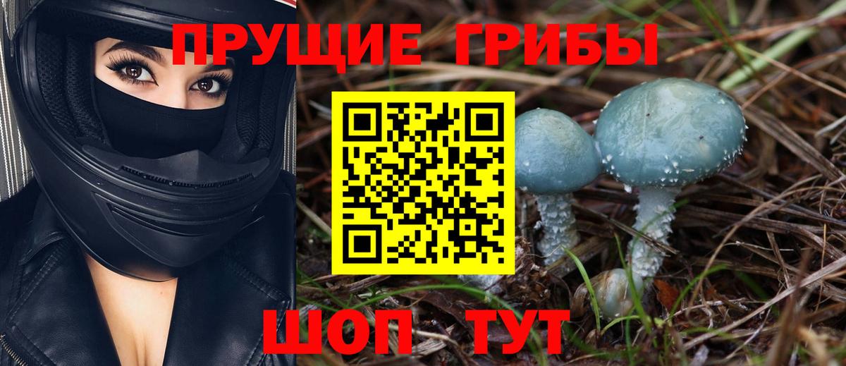Галлюциногенные грибы GOLDEN TEACHER Йошкар-Ола